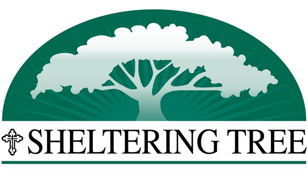 Sheltering Tree Logo 1200x675, Abrahams Kaslow &amp; Cassman LLP | Attorneys at Law